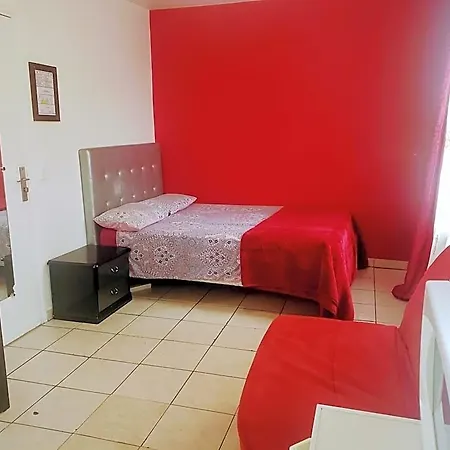 Le Cedre * Saint-Denis (Seine-Saint-Denis)